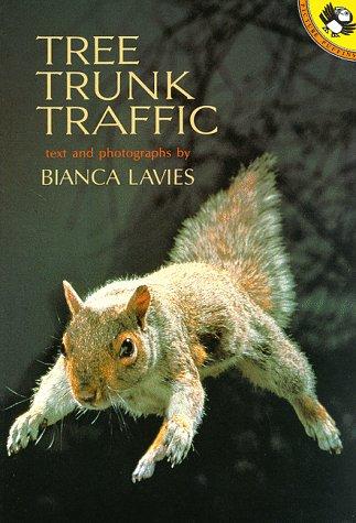 Tree Trunk Traffic