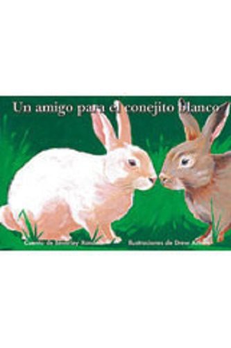 Un amigo para el conejito blanco