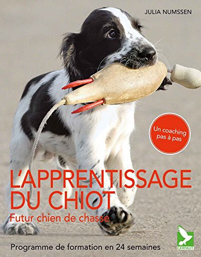 Eduquer son chiot, futur chien de chasse