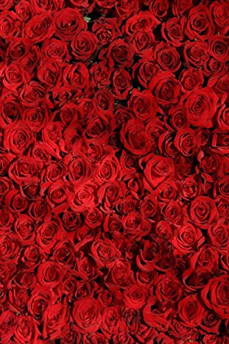 RED ROSES