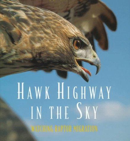 Hawk Highway in the Sky