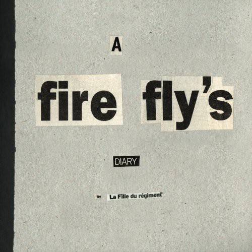 A fire fly's DIARY