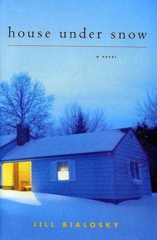 House under snow