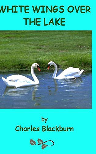 White Wings Over The Lake