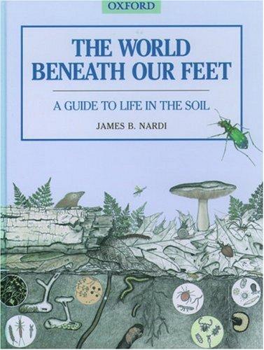 The World Beneath Our Feet