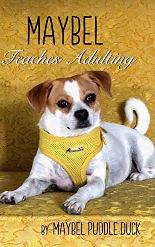 Maybel Teaches Adulting