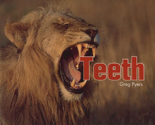 Teeth