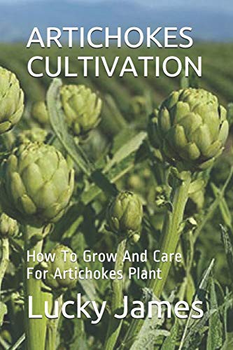 ARTICHOKES CULTIVATION