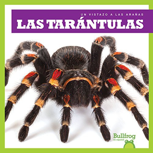 Las tarántulas