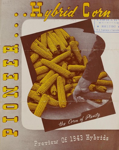 Pioneer hybrid corn