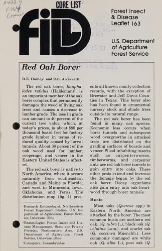 Red oak borer