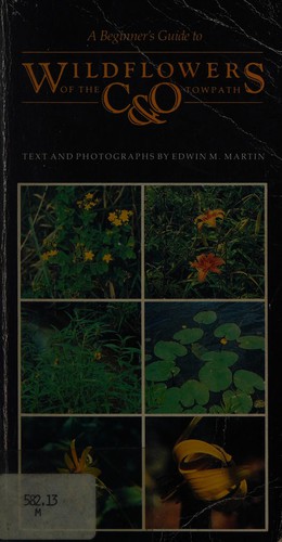 A beginner's guide to wildflowers of the C&O towpath
