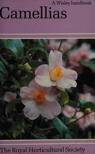 Camellia