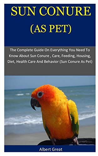Sun Conure As Pet