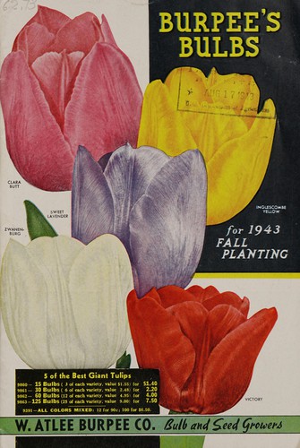 Burpee's bulbs for 1943 fall planting