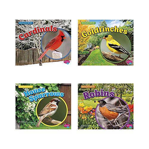 Backyard Birds
