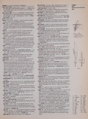 Webster's new encyclopedic dictionary