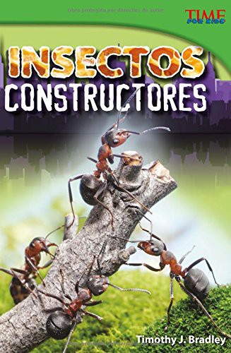 Insectos Constructores