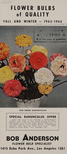Flower bulbs of quality