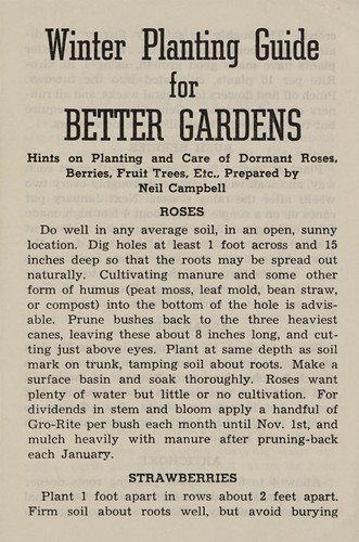 Winter planting guide for Better Gardens