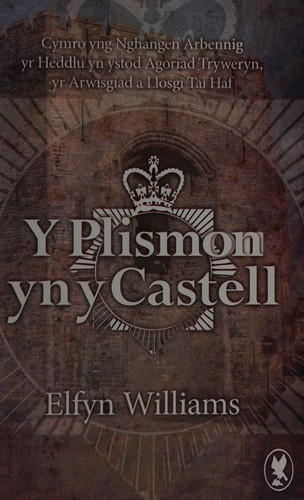 Y plismon yn y castell