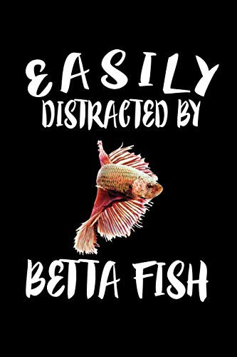 Easily Distracted By Betta Fish