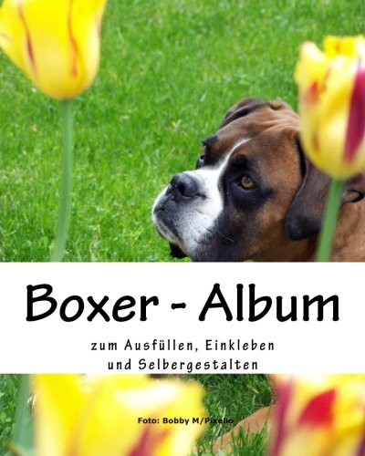 Boxer - Album