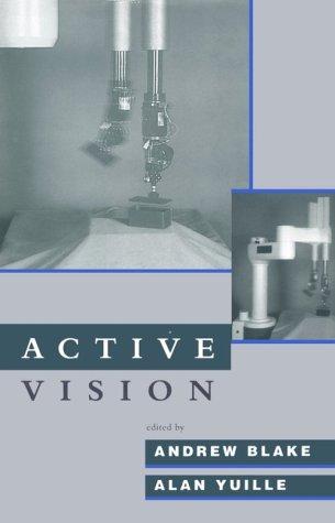 Active vision