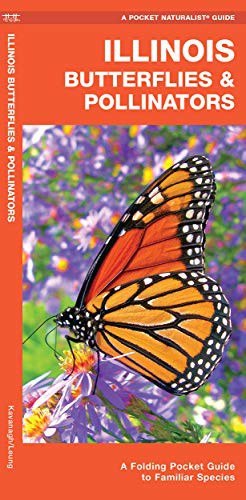 Illinois Butterflies & Pollinators