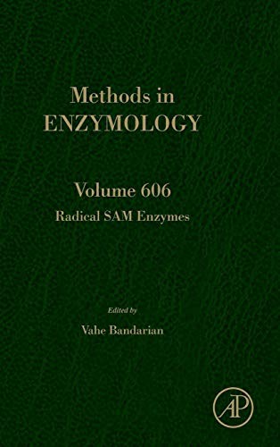 Radical SAM Enzymes