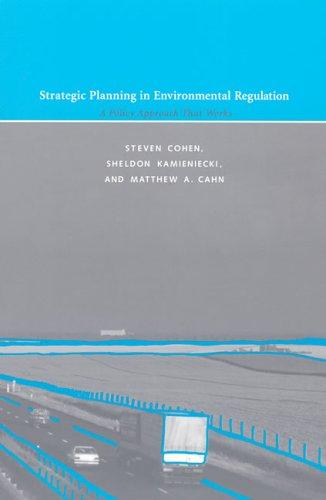 Strategic planning in environmental regulation