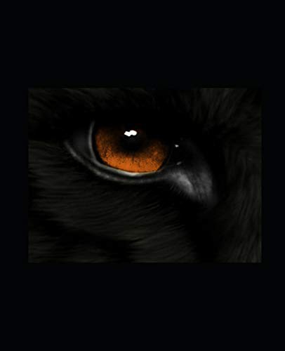 WOLF : Aftermath