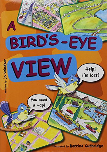 Bird's-Eye View, A