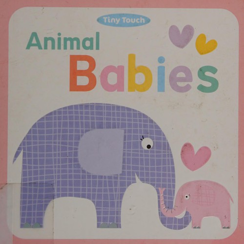 Animal babies