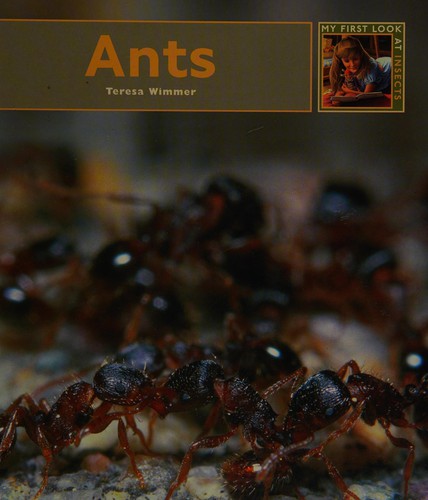 Ants