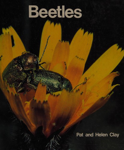 Beetles