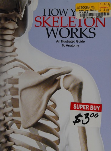 How your skeleton works