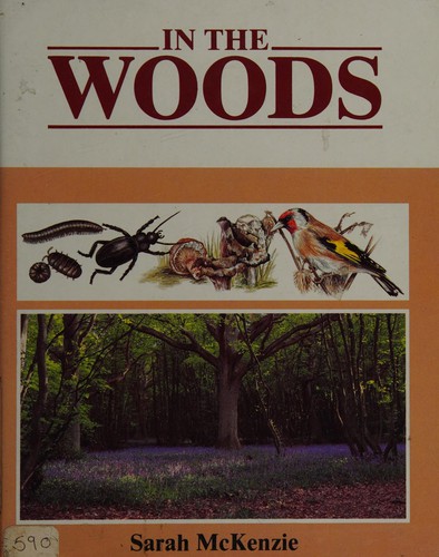 In the Woods (Use Your Eyes)