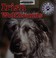 Irish wolfhounds