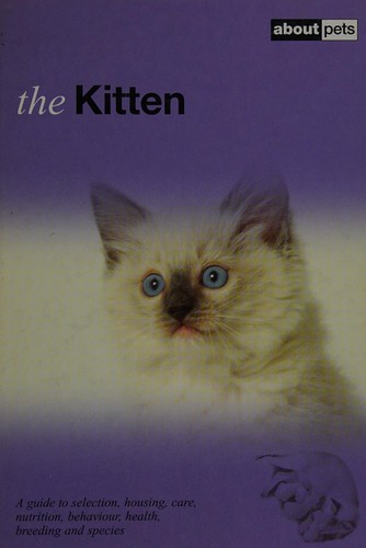 The kitten