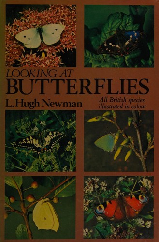 Looking at butterflies