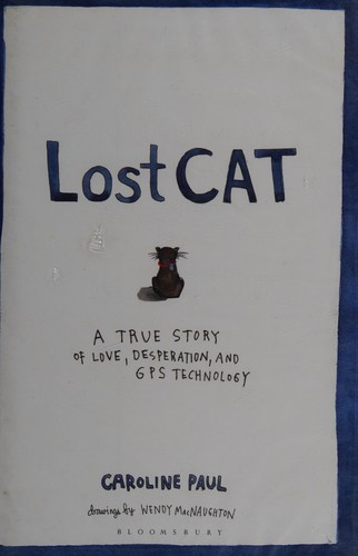 Lost cat