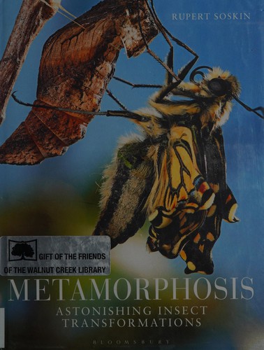 Metamorphosis
