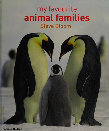 My favorite animal families