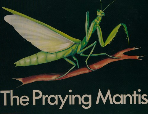 Real or Make Believe Books