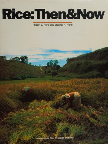 Rice, then & now