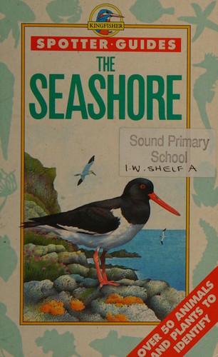 The seashore