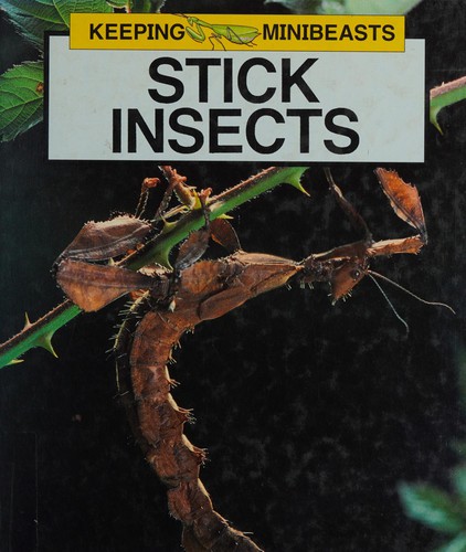 Stick Insects (Keeping Minibeasts)
