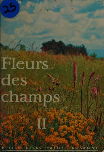 Fleurs des champs