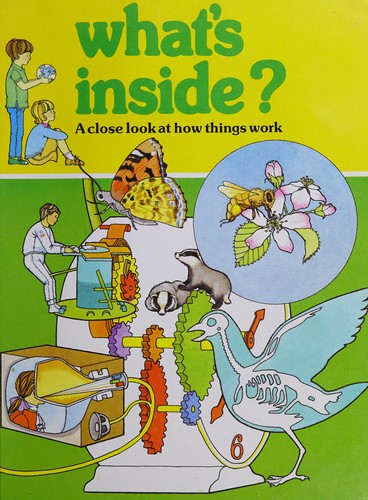 What's inside?